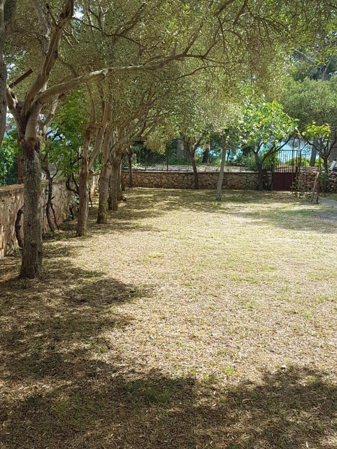 Apartman Lugovic Sibenik Bagian luar foto